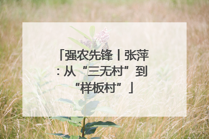 强农先锋丨张萍：从“三无村”到“样板村”